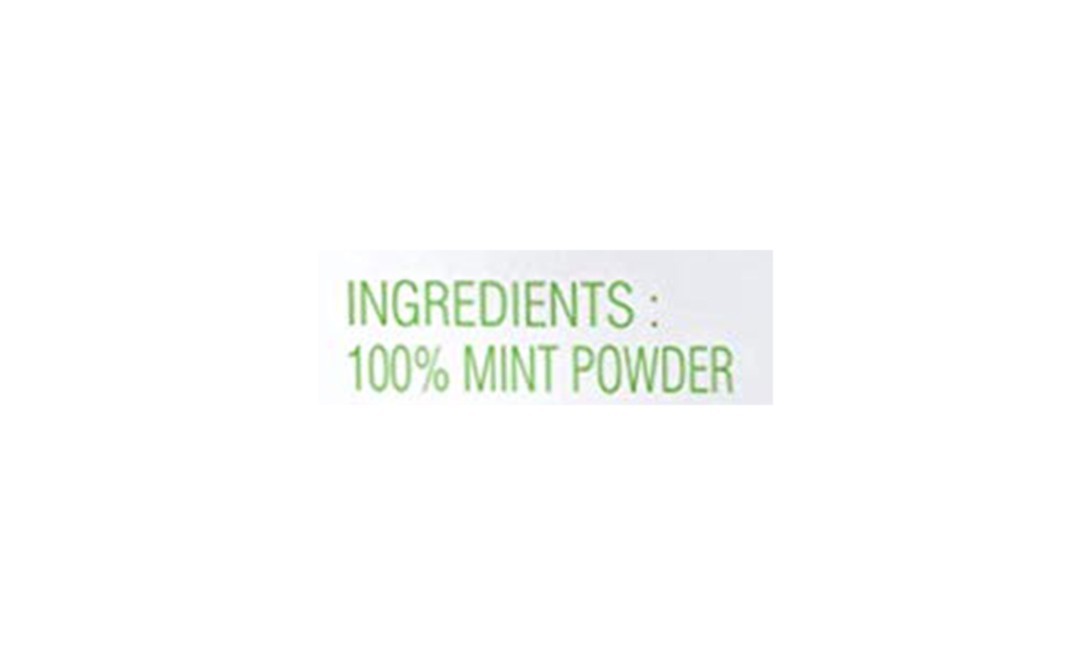 Nature's Gift Mint Leaves Powder    Pack  500 grams